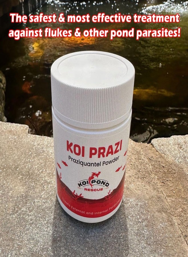 كوي برازي فلوك ديستوير (100 جرام) لأسماك البركة وحوض السمك - Image 4